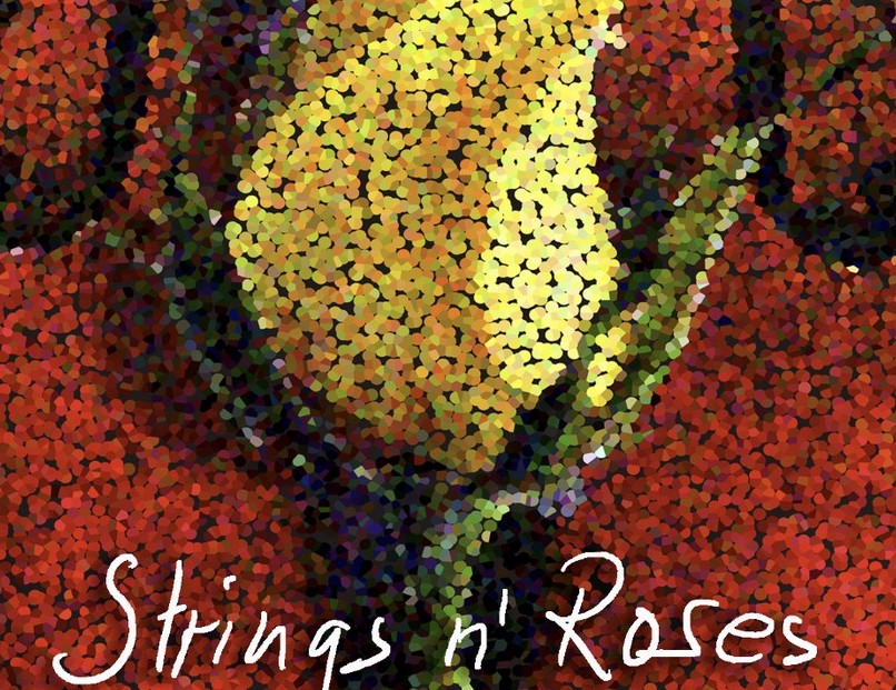 Strings n‘ Roses